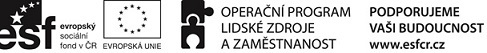 Logo Operační program Lidské zdroje a zaměstnanost