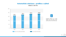 Automatická valorizace - predikce a výhled